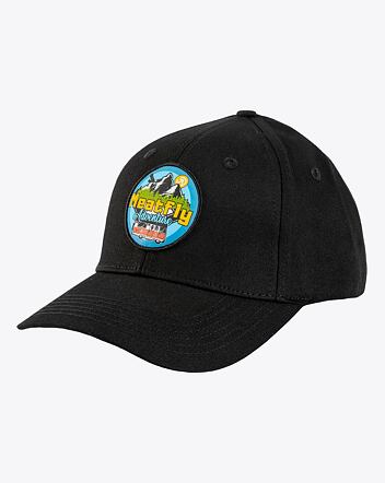 Šiltovka Meatfly Wayne Flexfit, Adventure Black