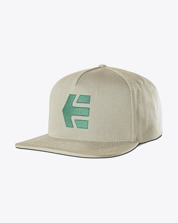 Šiltovka Etnies Icon Snapback, Tan / Green