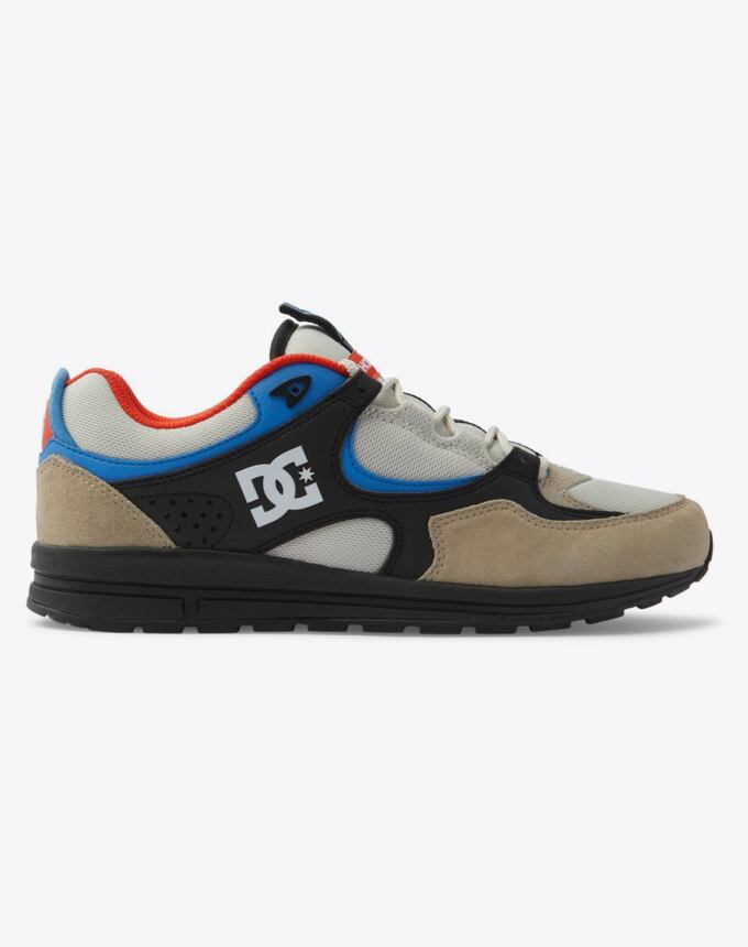 Pánske topánky DC Shoes Kalis Lite, Blue/White