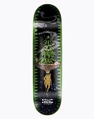 Skateboard Jart Stay High Roots, 8,25"