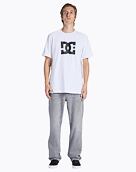 Pánske nohavice DC Shoes Worker Straight, Grey Wash